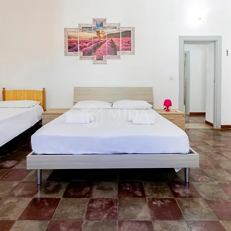 Oasis *