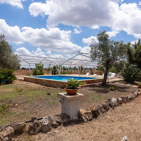Oasis Villa